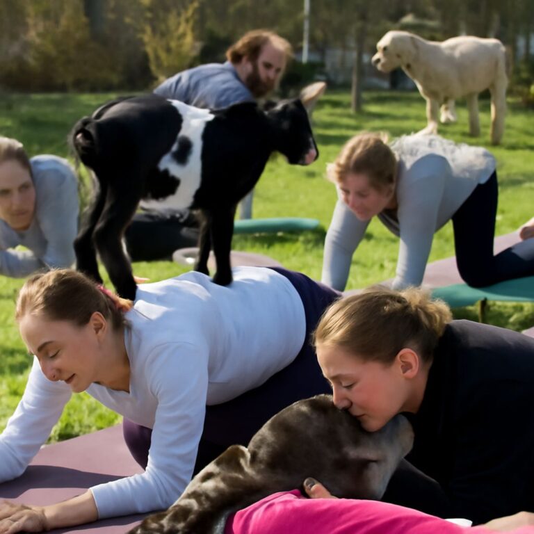 post_15982_1774080726