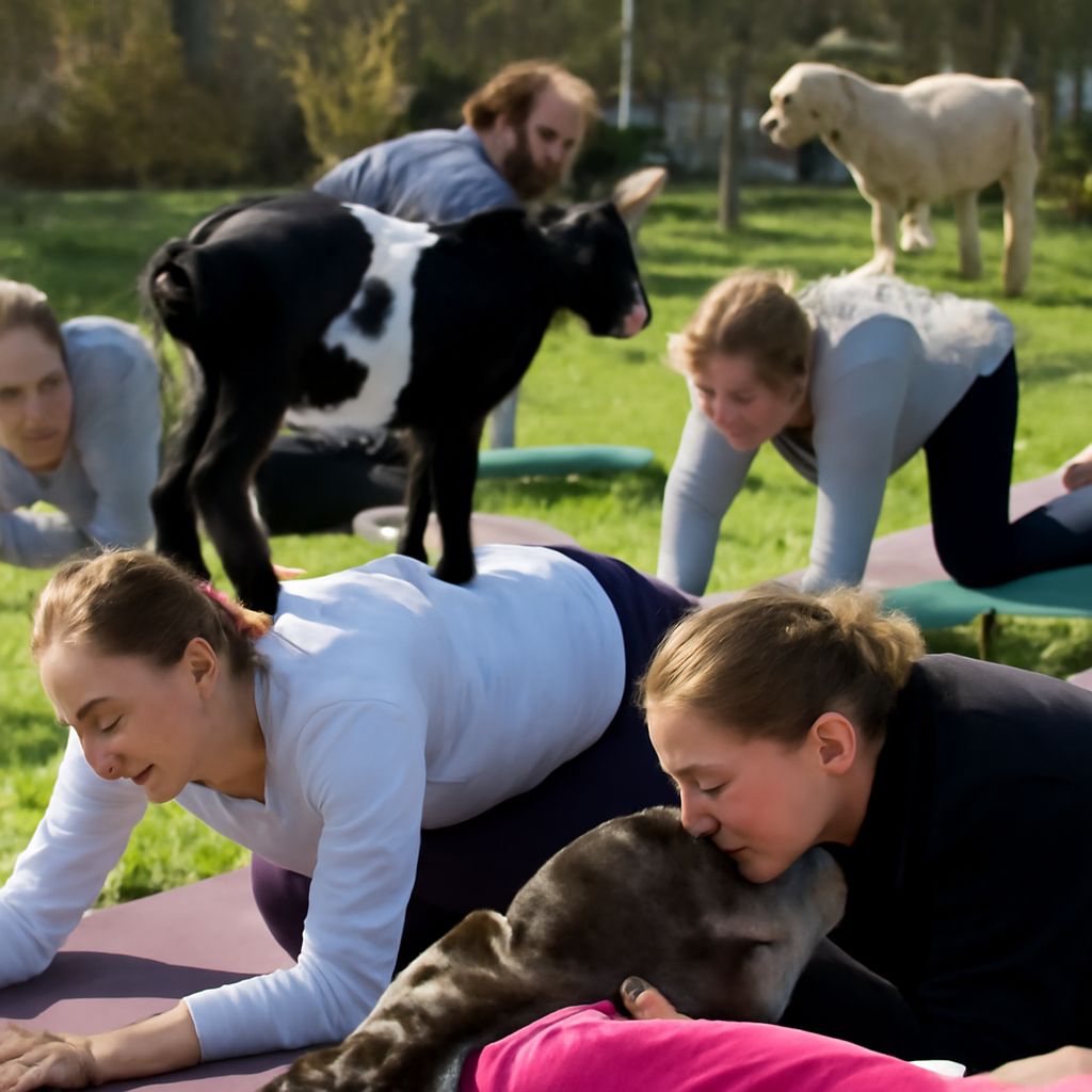 post_15982_1774080726