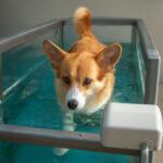 post_15984_1774081192